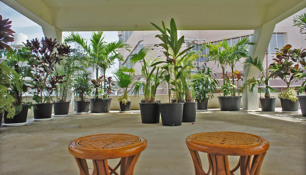 Tomonoya Ishigaki Villa Ishigaki  Eksteriør billede